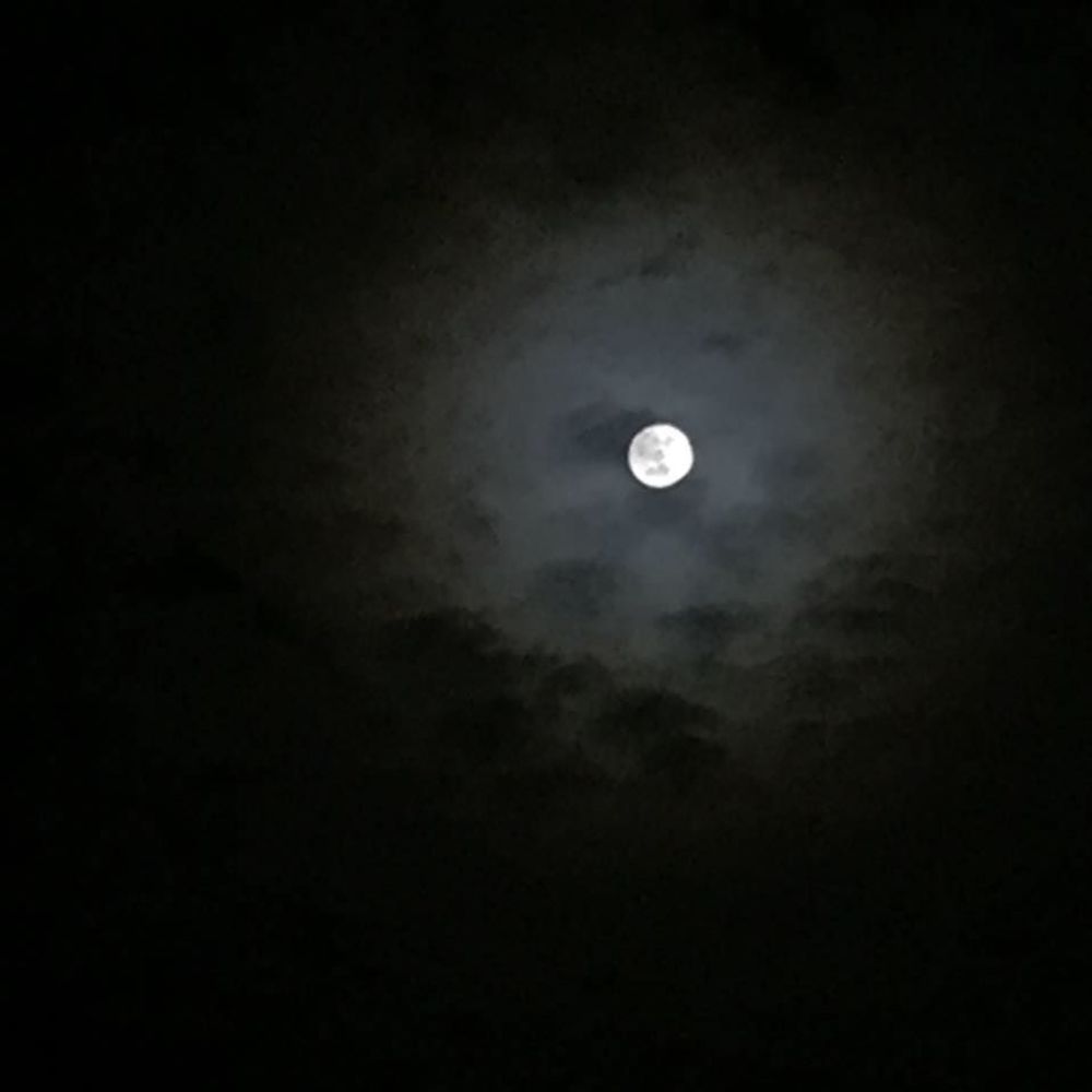 Meet your Posher, Marlene